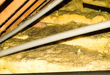 Attic Insulation Removal | Attic Cleaning Richmond, CA